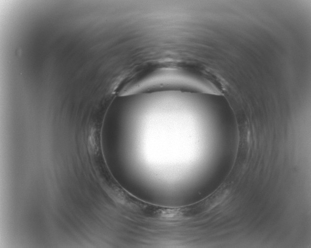 X0000066000088200603101542