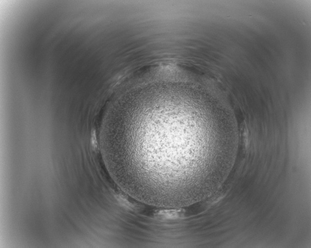 X0000066000089200603101542