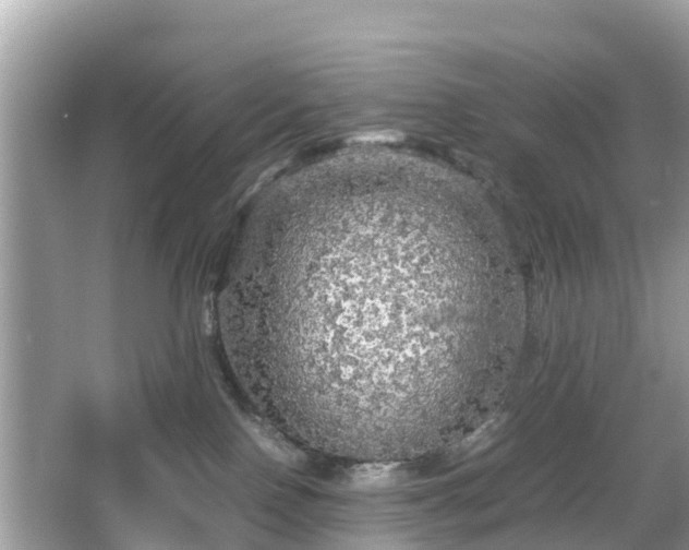 X0000066000090200603101542