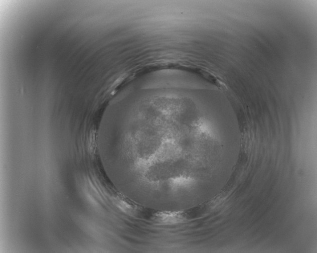 X0000066000093200603101542