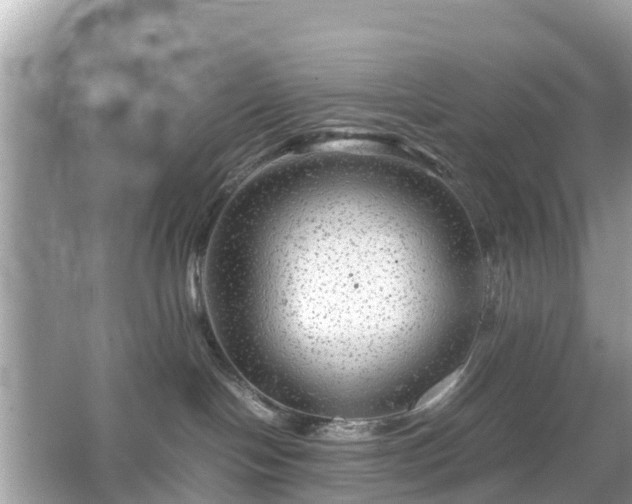 X0000066000094200603101542