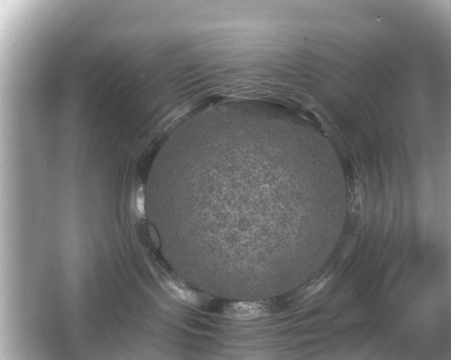 X0000066000095200603101542