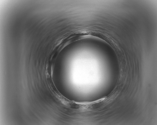 X0000066000096200603101542