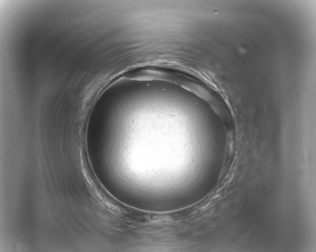 X0000066000097200603101541