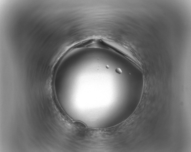 X0000066000098200603101541