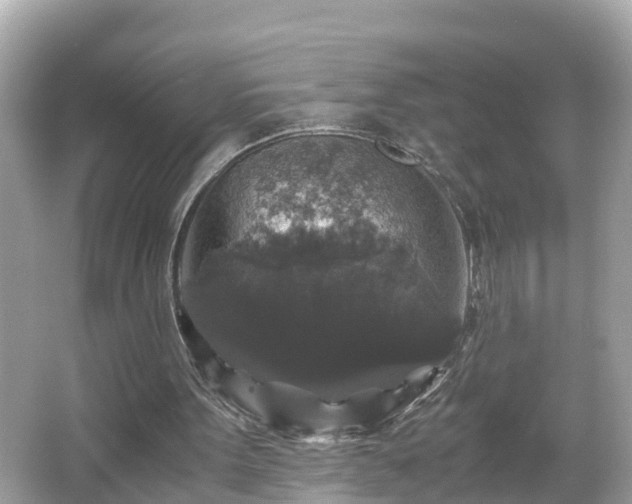 X0000066000099200603101541