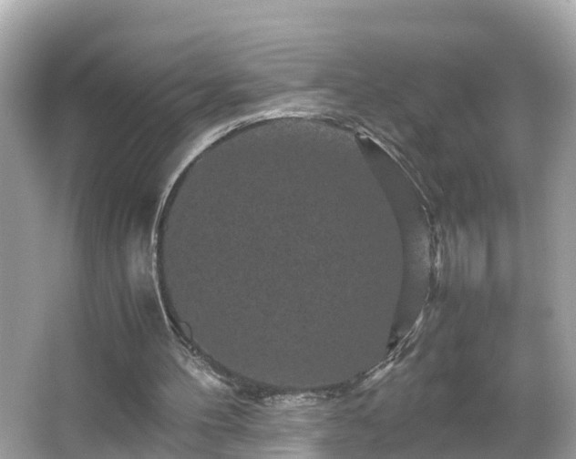 X0000066000100200603101541