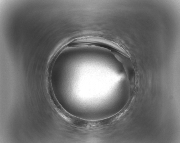 X0000066000101200603101541