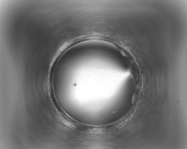 X0000066000102200603101541