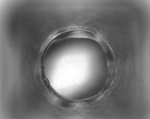 X0000066000103200603101541