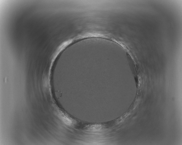 X0000066000104200603101541