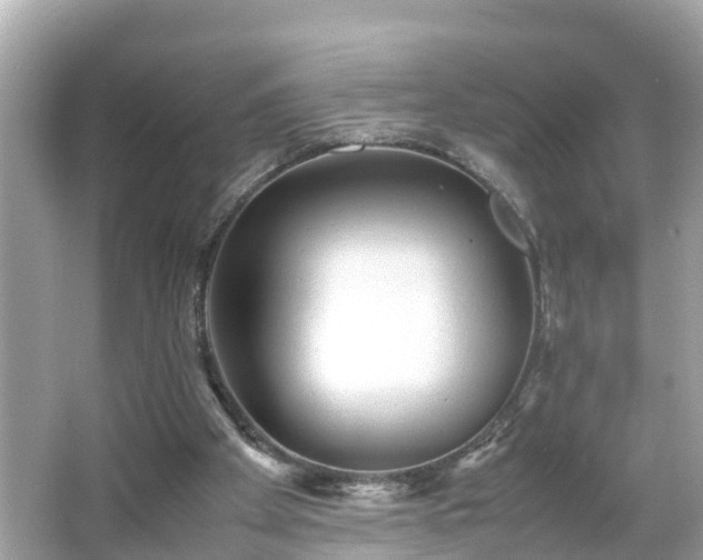 X0000066000105200603101541