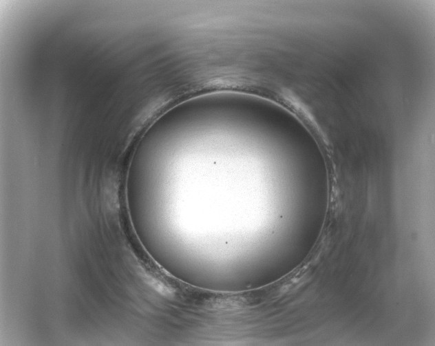 X0000066000106200603101541