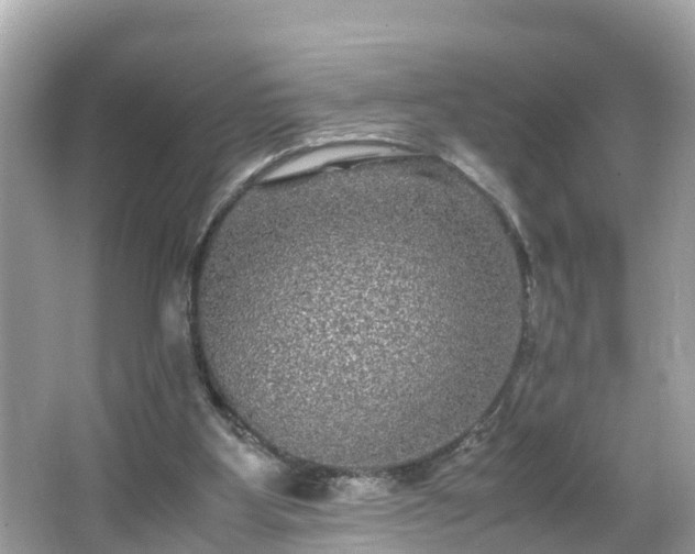 X0000066000107200603101541