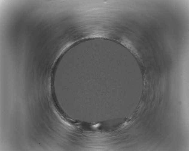 X0000066000108200603101541