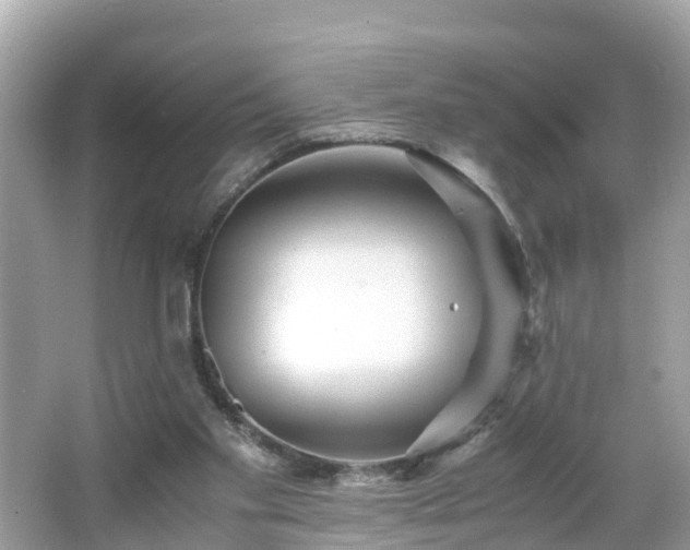 X0000066000109200603101541