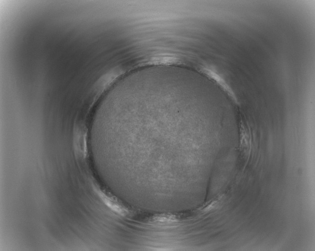 X0000066000110200603101541