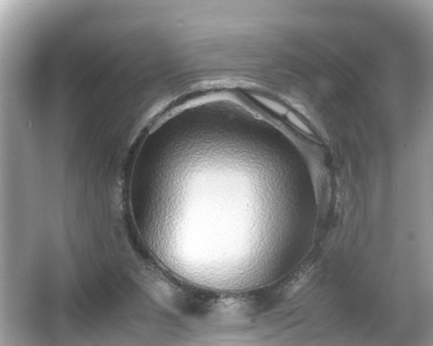 X0000066000111200603101541