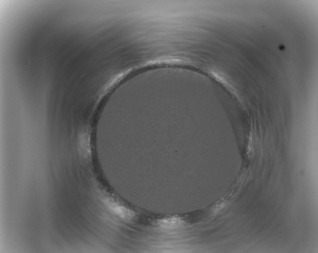 X0000066000112200603101541