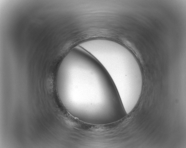 X0000066000113200603101541