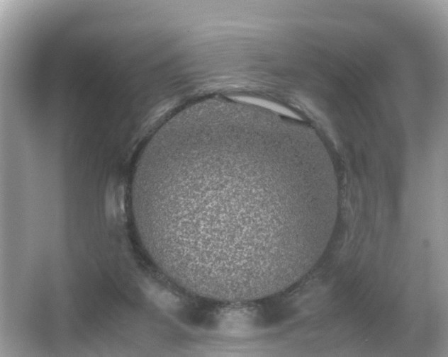 X0000066000115200603101541