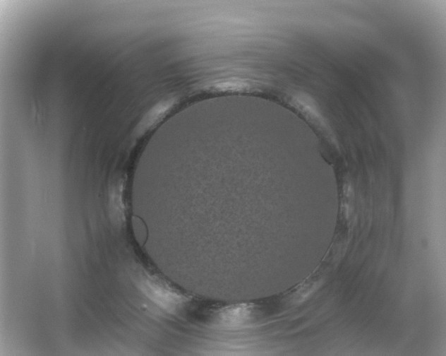 X0000066000116200603101541