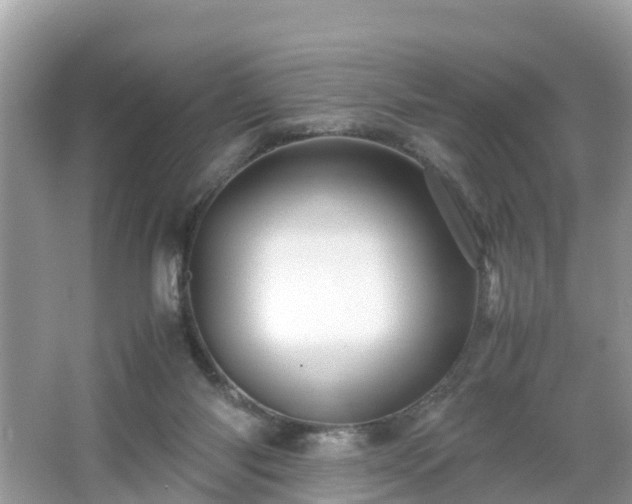 X0000066000118200603101541