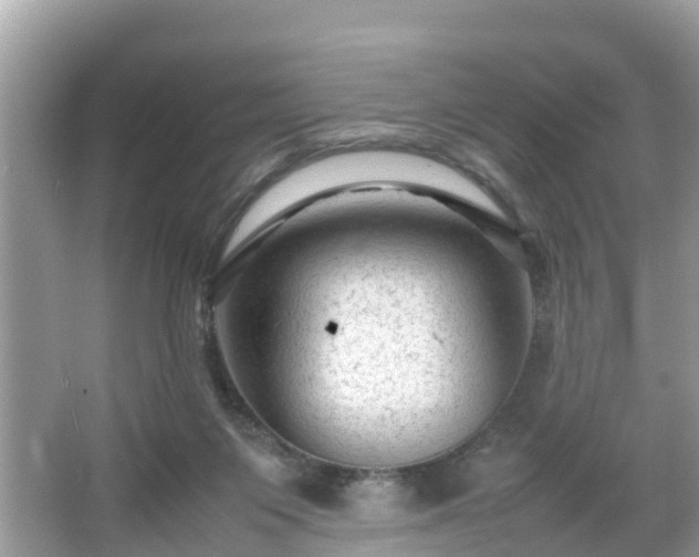 X0000066000119200603101541