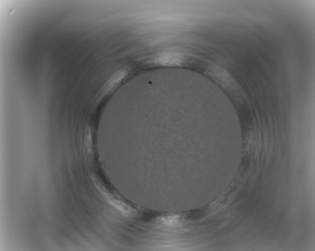 X0000066000120200603101541