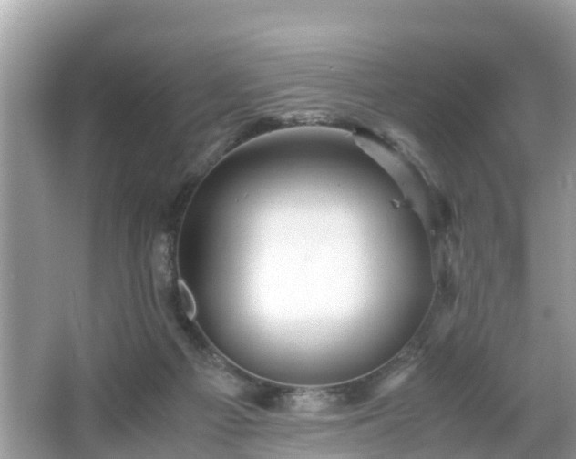 X0000066000121200603101541