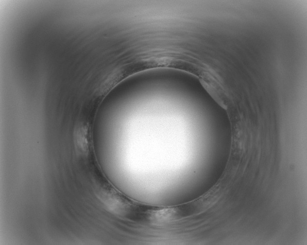 X0000066000122200603101541