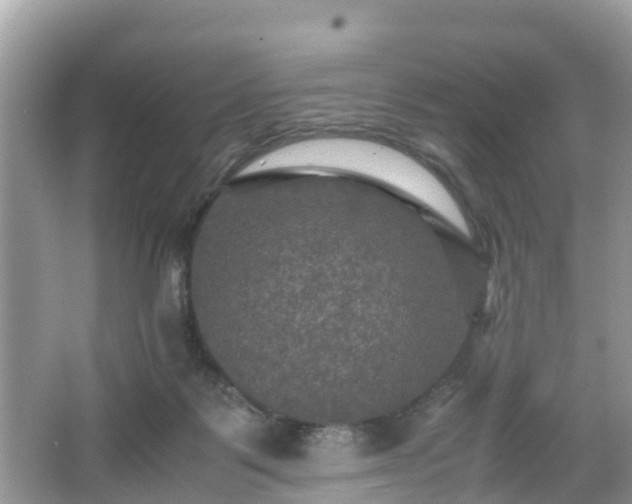 X0000066000123200603101541