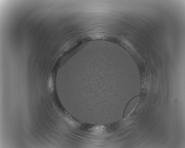 X0000066000124200603101541