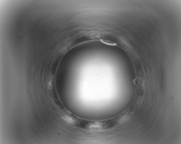 X0000066000125200603101541