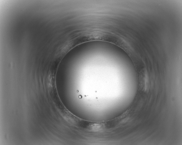 X0000066000126200603101540