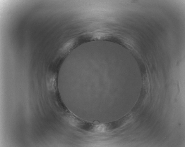 X0000066000127200603101540