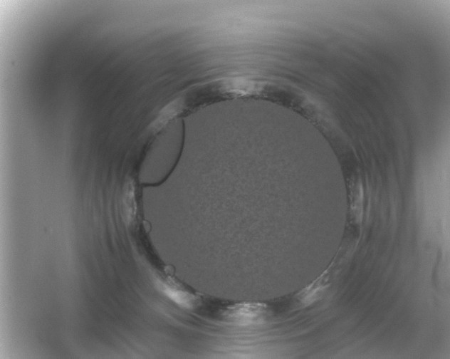 X0000066000128200603101540