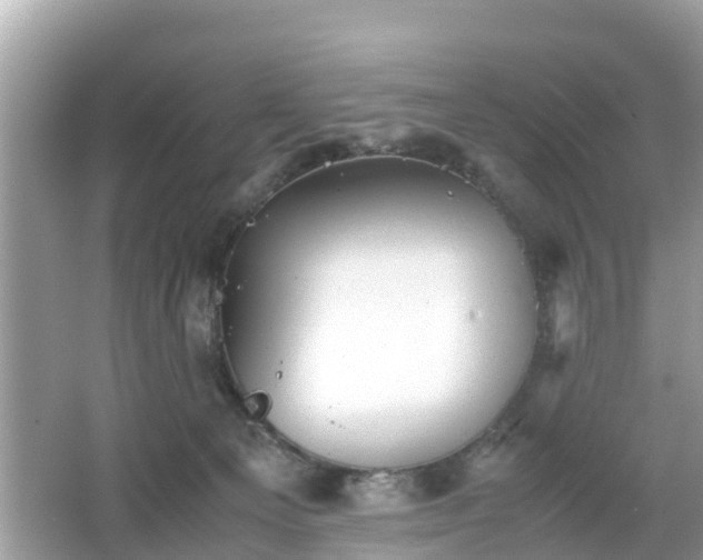 X0000066000129200603101540