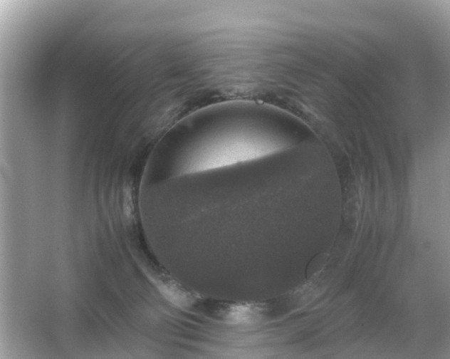 X0000066000130200603101540