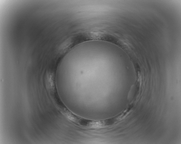 X0000066000131200603101540