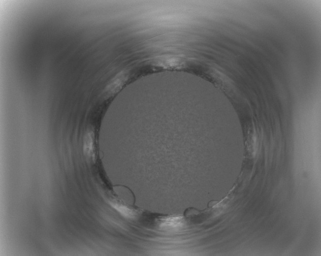 X0000066000132200603101540