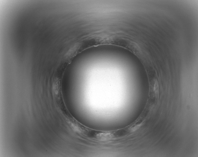 X0000066000133200603101540