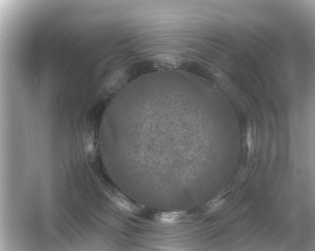 X0000066000134200603101540