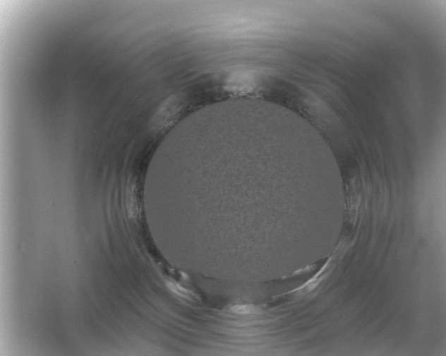 X0000066000136200603101540