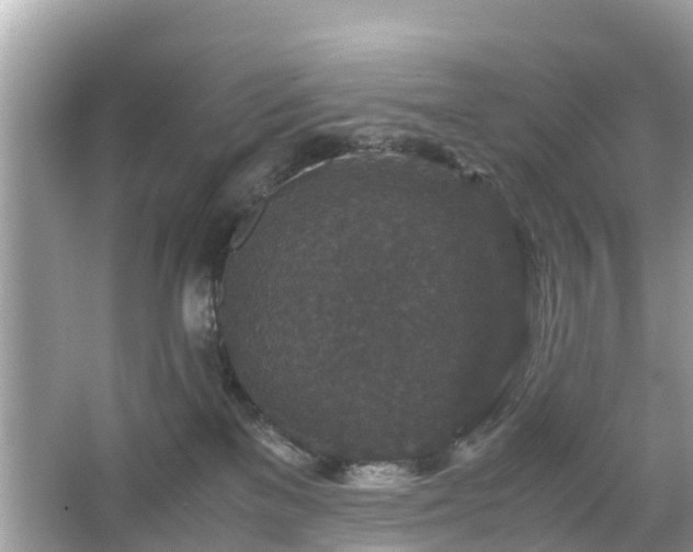 X0000066000137200603101540