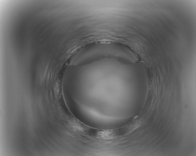 X0000066000139200603101540