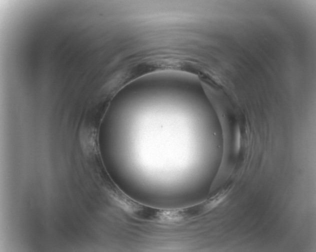 X0000066000141200603101540