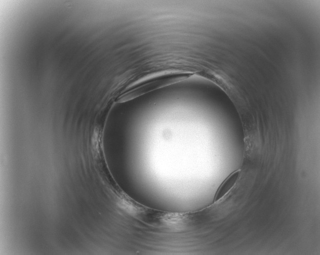 X0000066000142200603101540