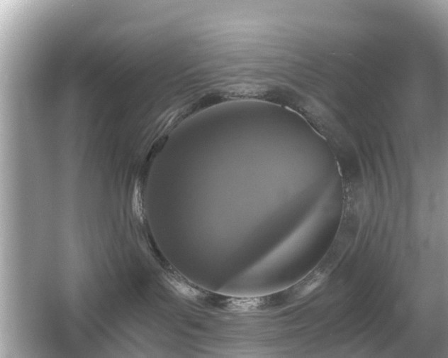 X0000066000143200603101540