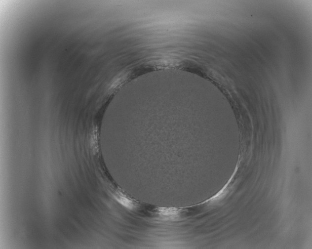 X0000066000144200603101540